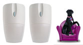 Lot de 2 D�tecteurs sp�cial animaux domestiques DM260X