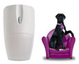 D�tecteur de mouvement sp�cial animaux domestiques