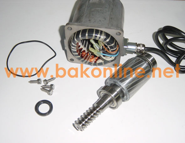 CAME 119RIA063 - GROUPE MOTEUR FROG AL