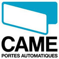 CAME 119RID239 - MOTEUR FAST 24V