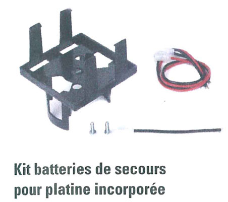 Faac E390901 Batteries de Secours pour 740 24V (Delta2 Kit 24V) 