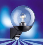 Steinel L 535 Noir -  globe bull�