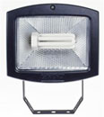 Projecteur 24 W Eco  noir
