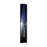 Télécommande GYPASS 4020