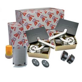 Kit motorisation portail battant BFT ELI 250 N V 230V